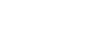 The Financial Leaders Institute